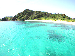 慶良間諸島シュノーケリング画像